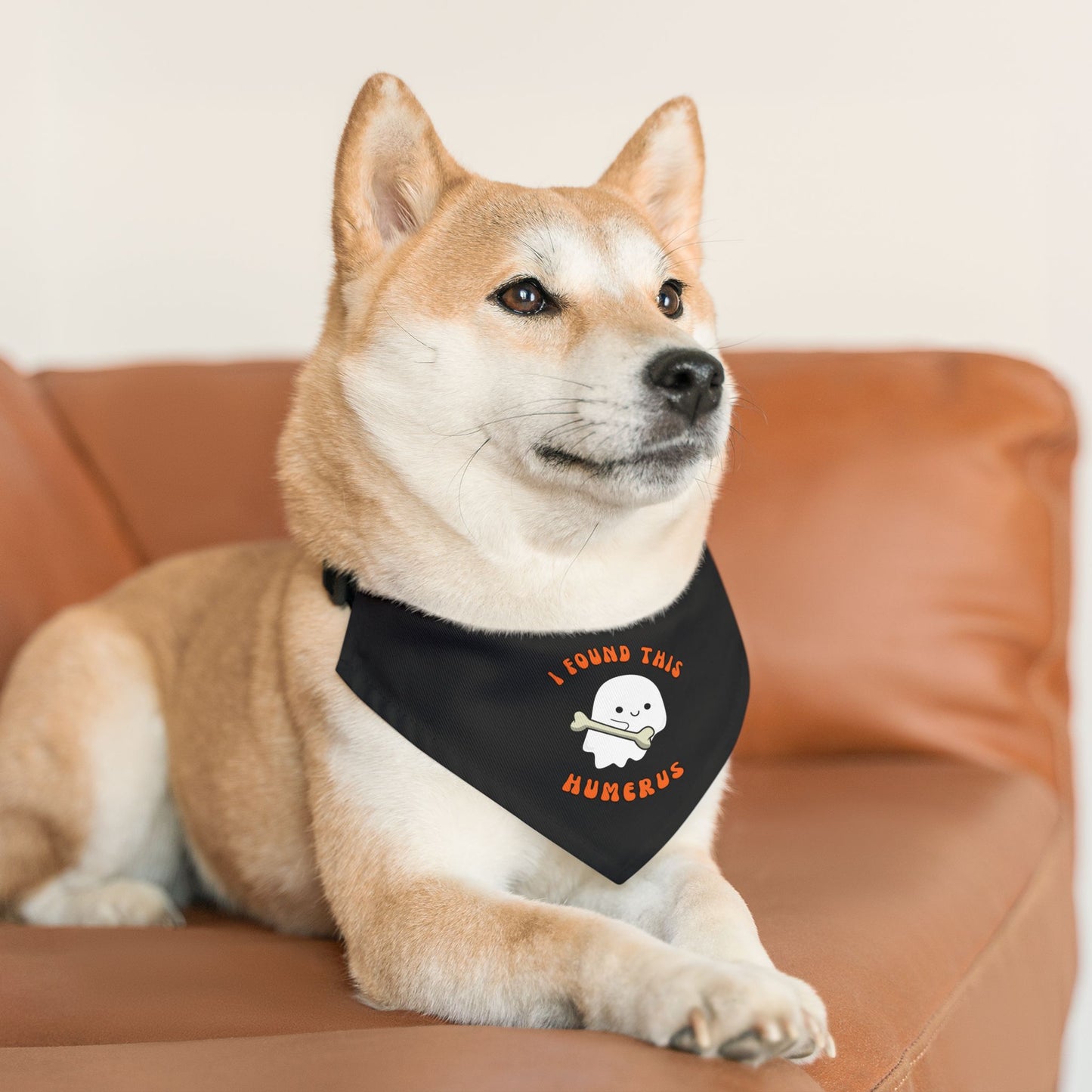 Halloween Pet Bandana