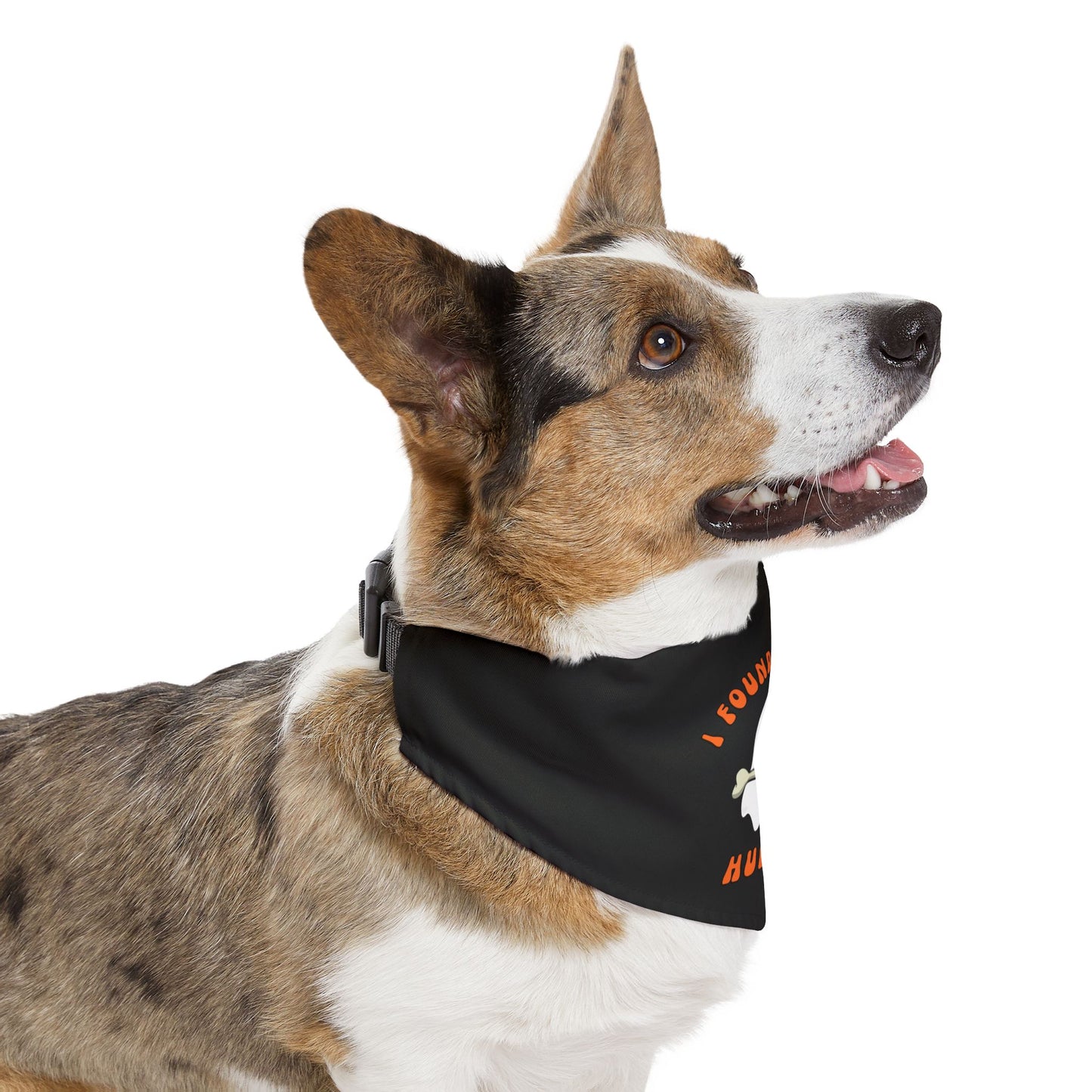 Halloween Pet Bandana