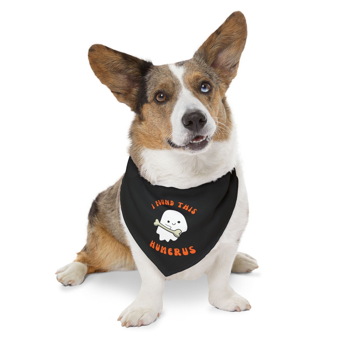 Halloween Pet Bandana