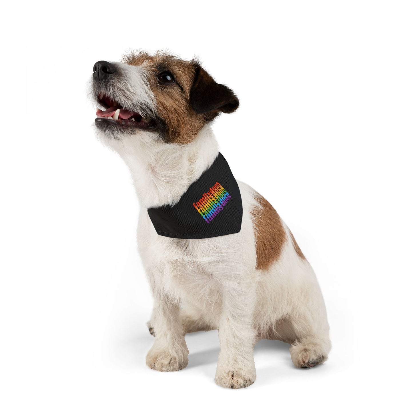 Family Docs Rainbow Pet Bandana