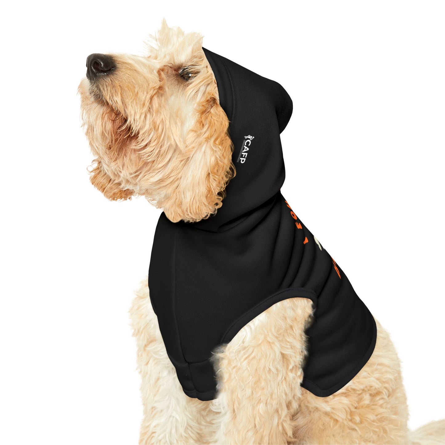 Halloween Pet Hoodie