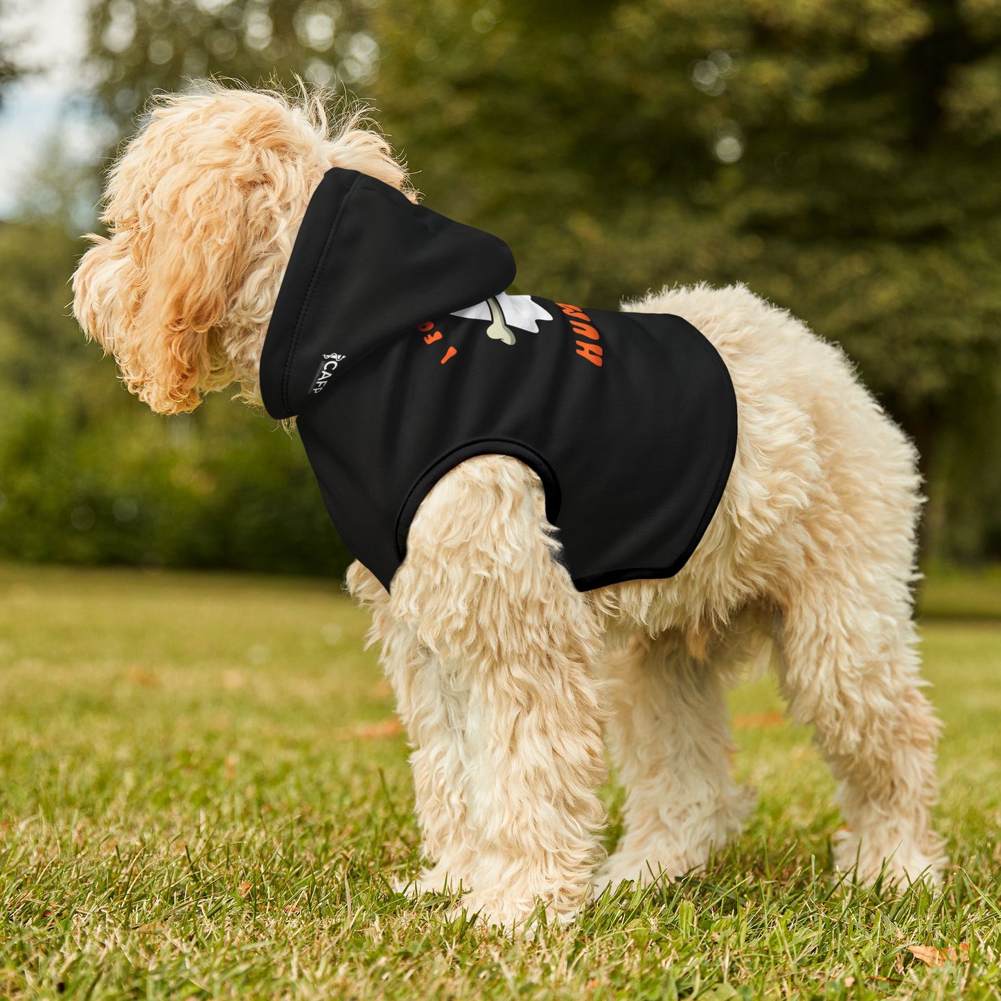 Halloween Pet Hoodie