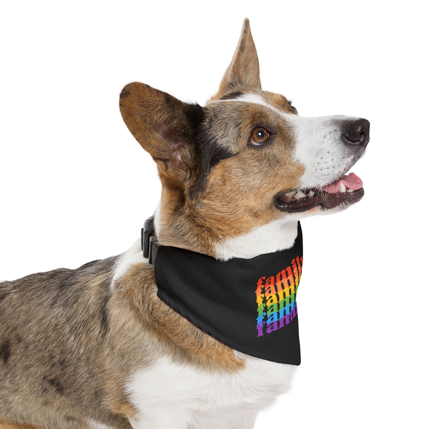 Family Docs Rainbow Pet Bandana