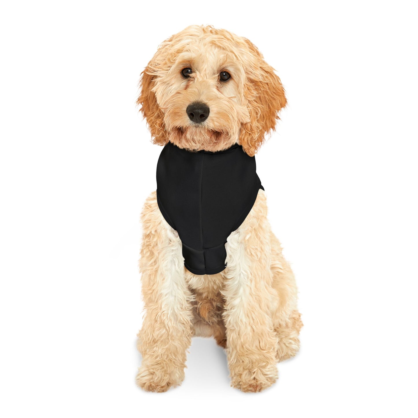 Family Doc Squad Pet Hoodie - Halloween Dog Sweater